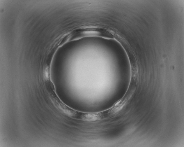 X0000080160095200612081346