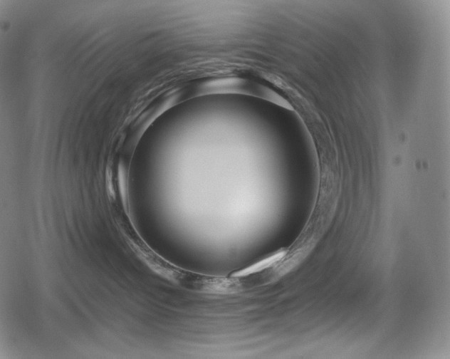 X0000080160096200612081346