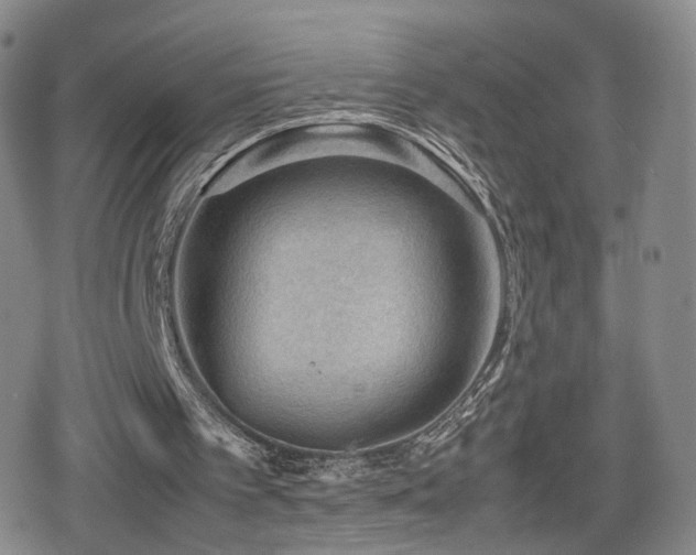 X0000080160097200612081345