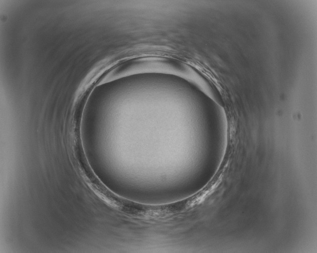 X0000080160101200612081345