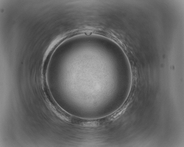 X0000080160102200612081345