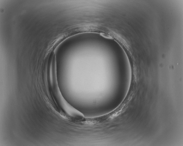 X0000080160105200612081345