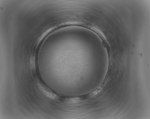 X0000080160108200612081345