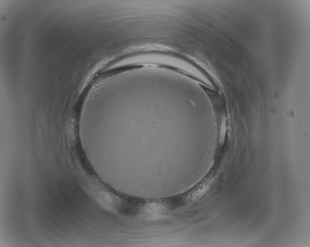 X0000080160111200612081345