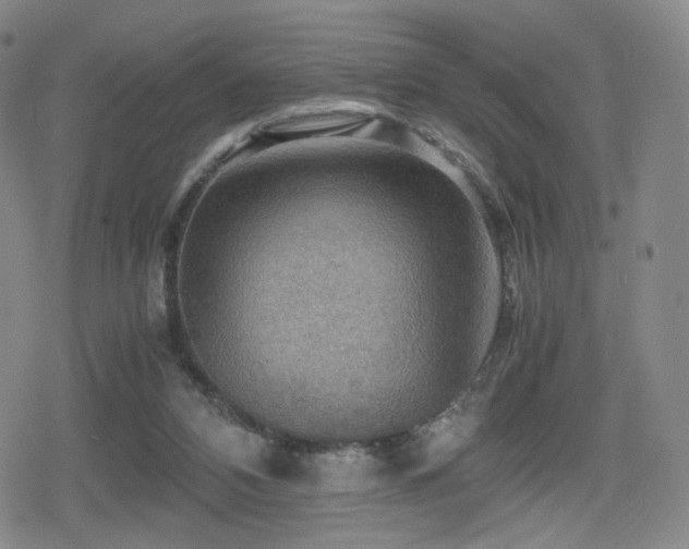 X0000080160112200612081345