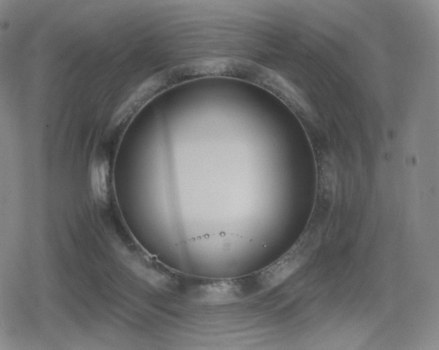 X0000080160118200612081345