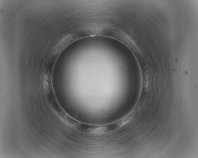 X0000080160122200612081345