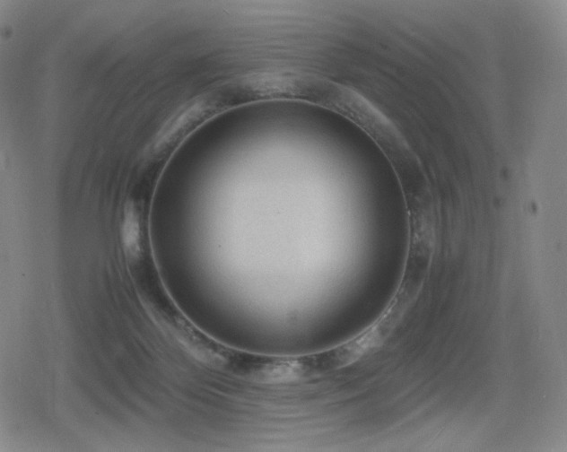 X0000080160124200612081345