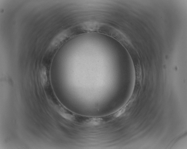 X0000080160128200612081345