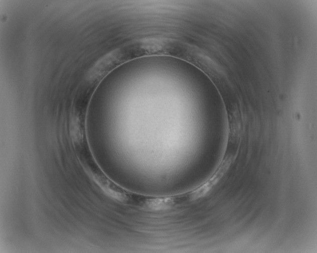 X0000080160136200612081345