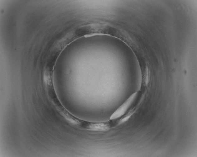 X0000080160137200612081345