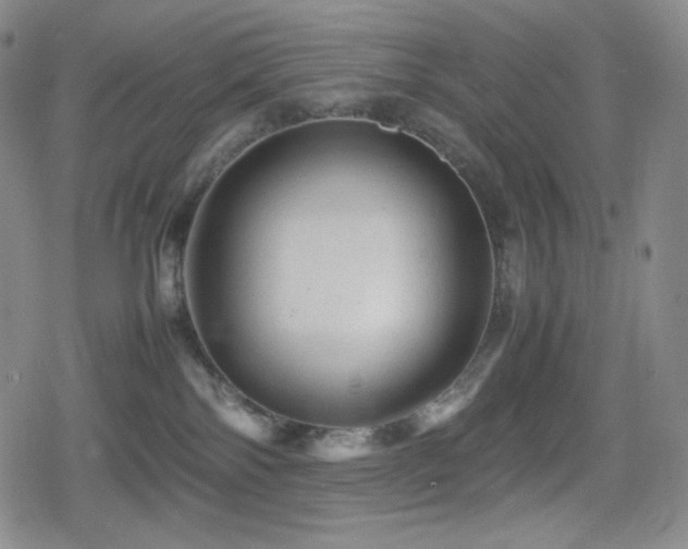 X0000080160138200612081345