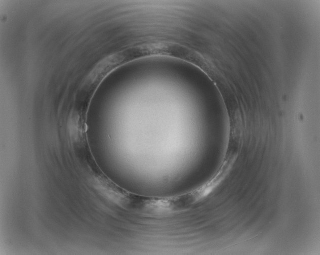 X0000080160140200612081345