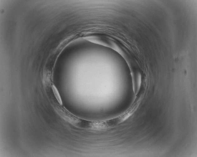 X0000080160141200612081345