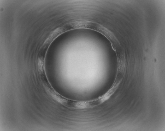 X0000080160142200612081345