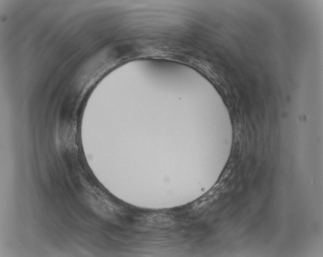 X0000080160146200612081344