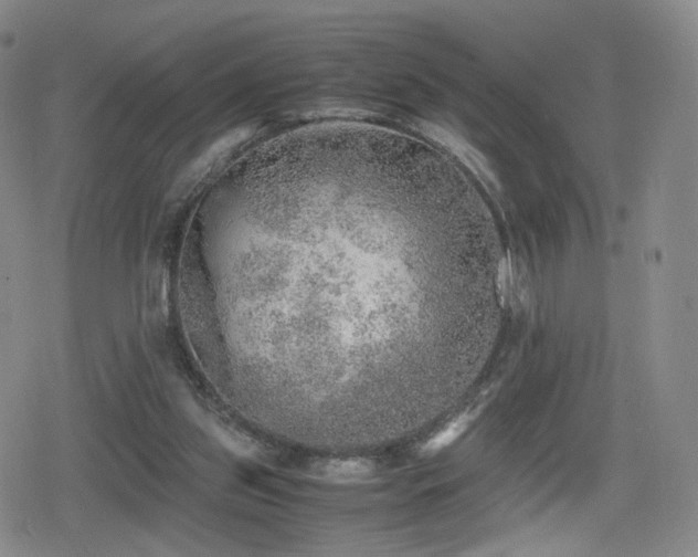 X0000080160157200612081344