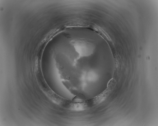 X0000080160163200612081344