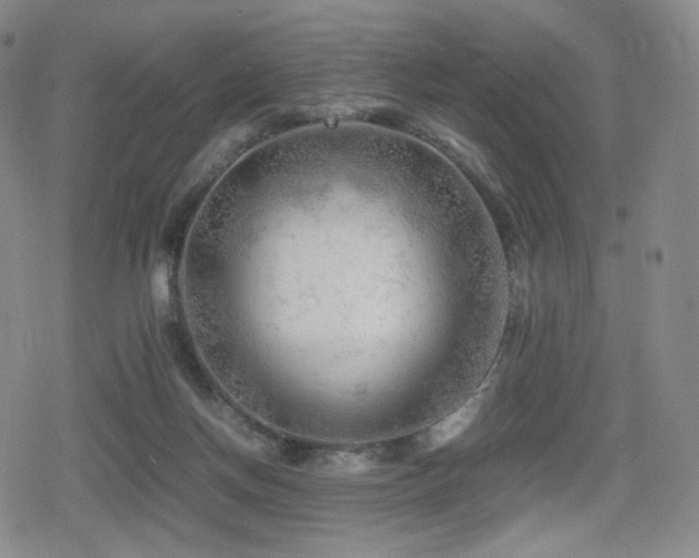 X0000080160166200612081344