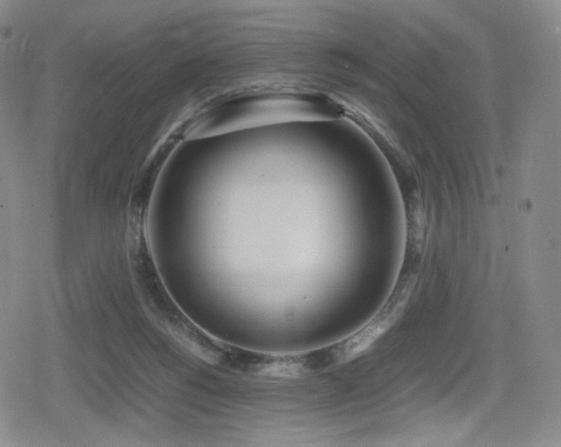X0000080160168200612081344
