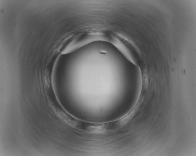 X0000080160170200612081344