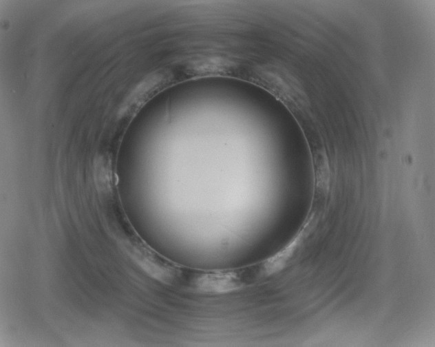 X0000080160179200612081344