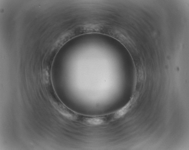 X0000080160183200612081344