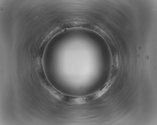 X0000080160184200612081344