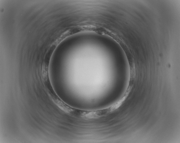 X0000080160186200612081344