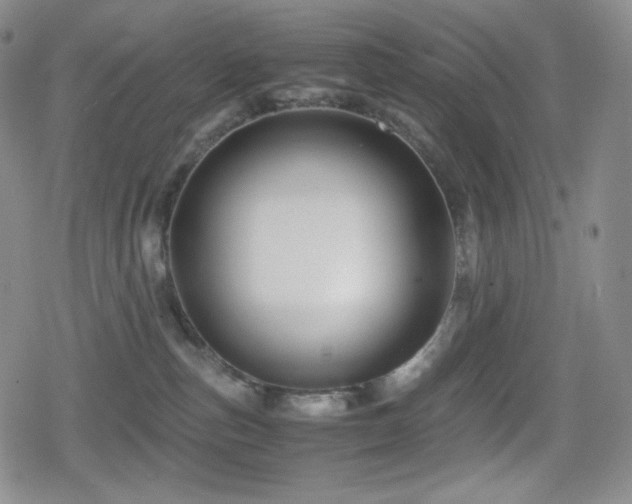 X0000080160187200612081344
