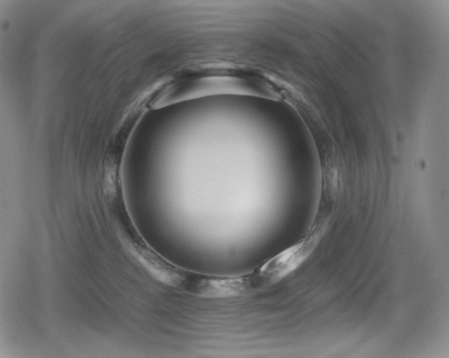 X0000080160188200612081344