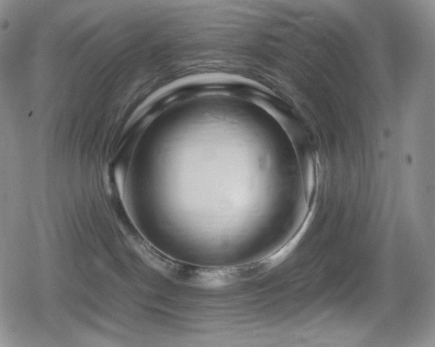 X0000080160190200612081344