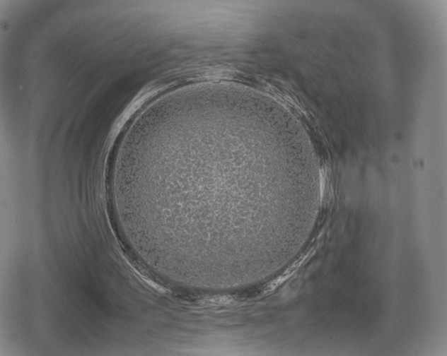 X0000080160195200612081344