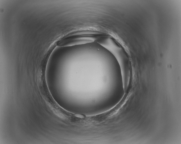 X0000080160201200612081344