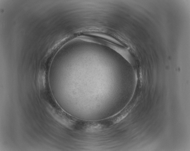 X0000080160206200612081344