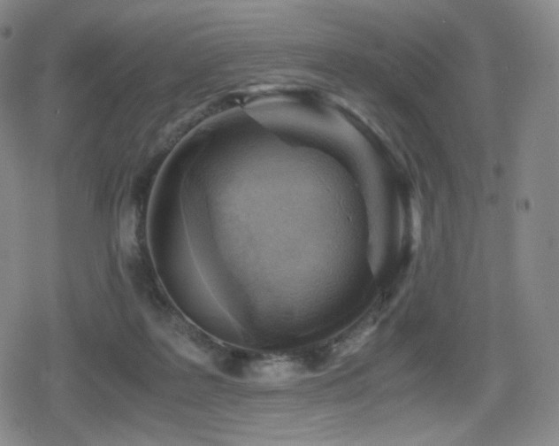 X0000080160219200612081343