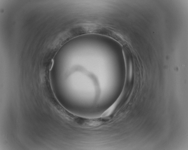X0000080160221200612081343