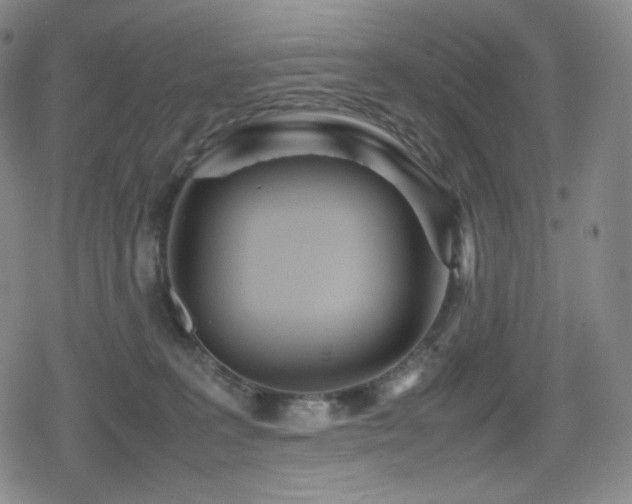 X0000080160227200612081343