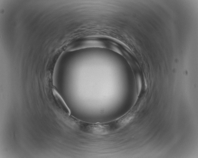 X0000080160229200612081343