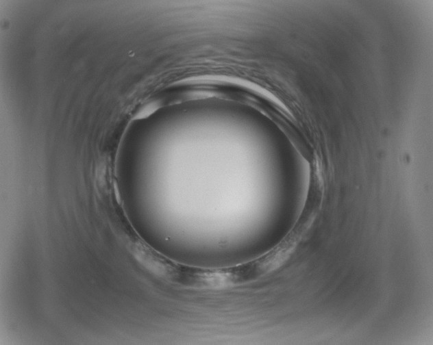 X0000080160233200612081343