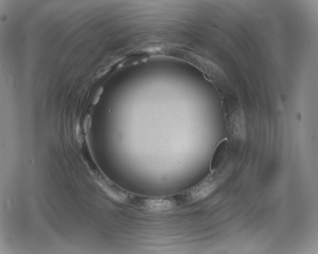 X0000080160234200612081343