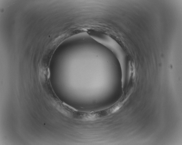 X0000080160235200612081343