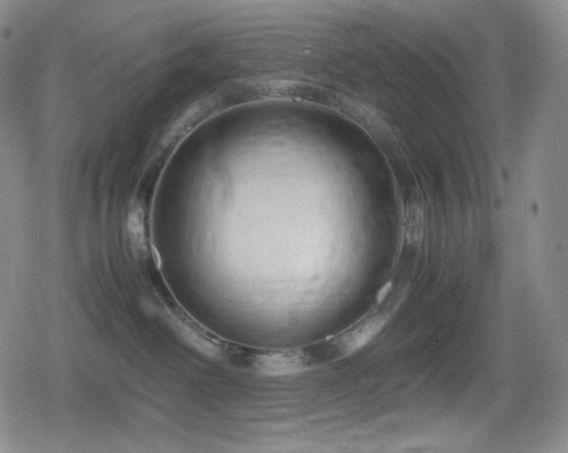 X0000080160238200612081343