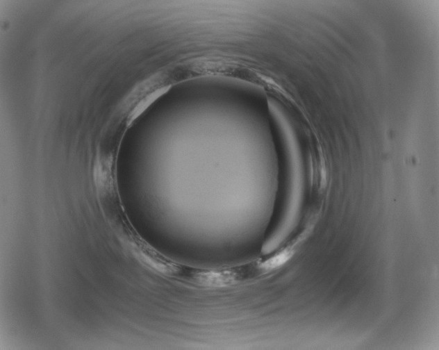 X0000080160239200612081343