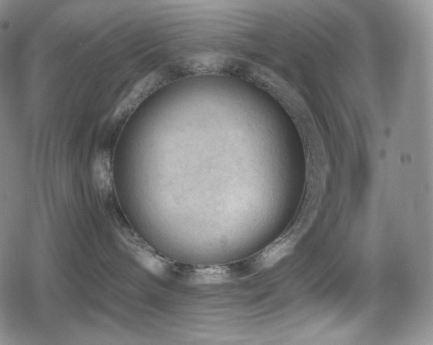 X0000080160240200612081343