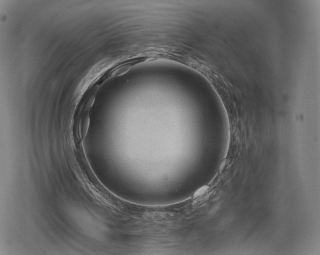 X0000080160242200612081342