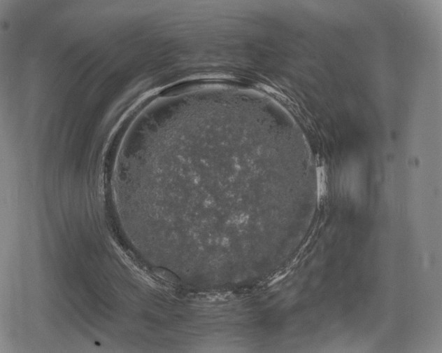 X0000080160243200612081342