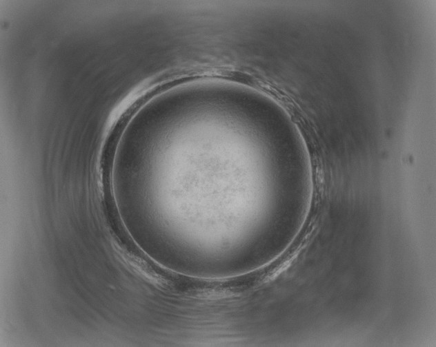 X0000080160246200612081342