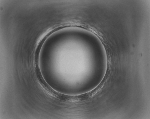 X0000080160248200612081342