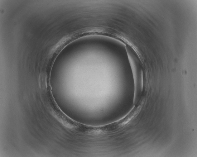 X0000080160253200612081342